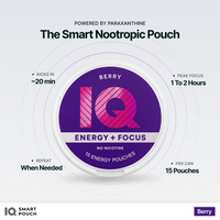 IQ Smart Pouch Berry