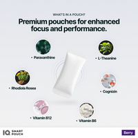 IQ Smart Pouch Berry