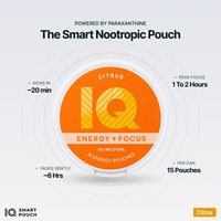 IQ Smart Pouch Citrus