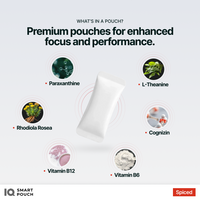 IQ Smart Pouch Spiced