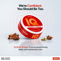 IQ Smart Pouch Spiced